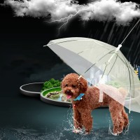 Зонт для животных
