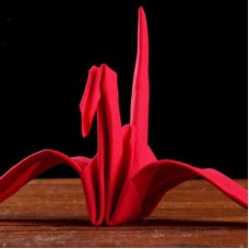 Фокус Магическое оригами 